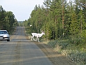 Obraz 218